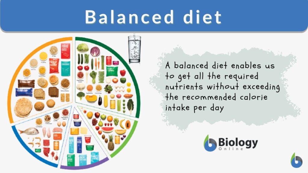 What Are The Fundamentals Of A Balanced Diet?